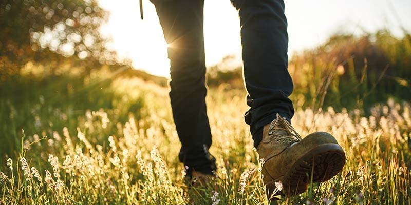 West Mendip Walkers