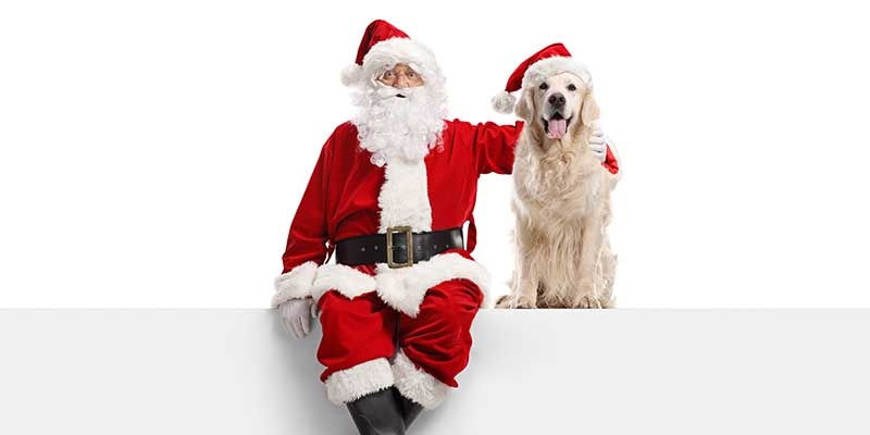 Santa Paws Is Coming to (Weston) Town! 